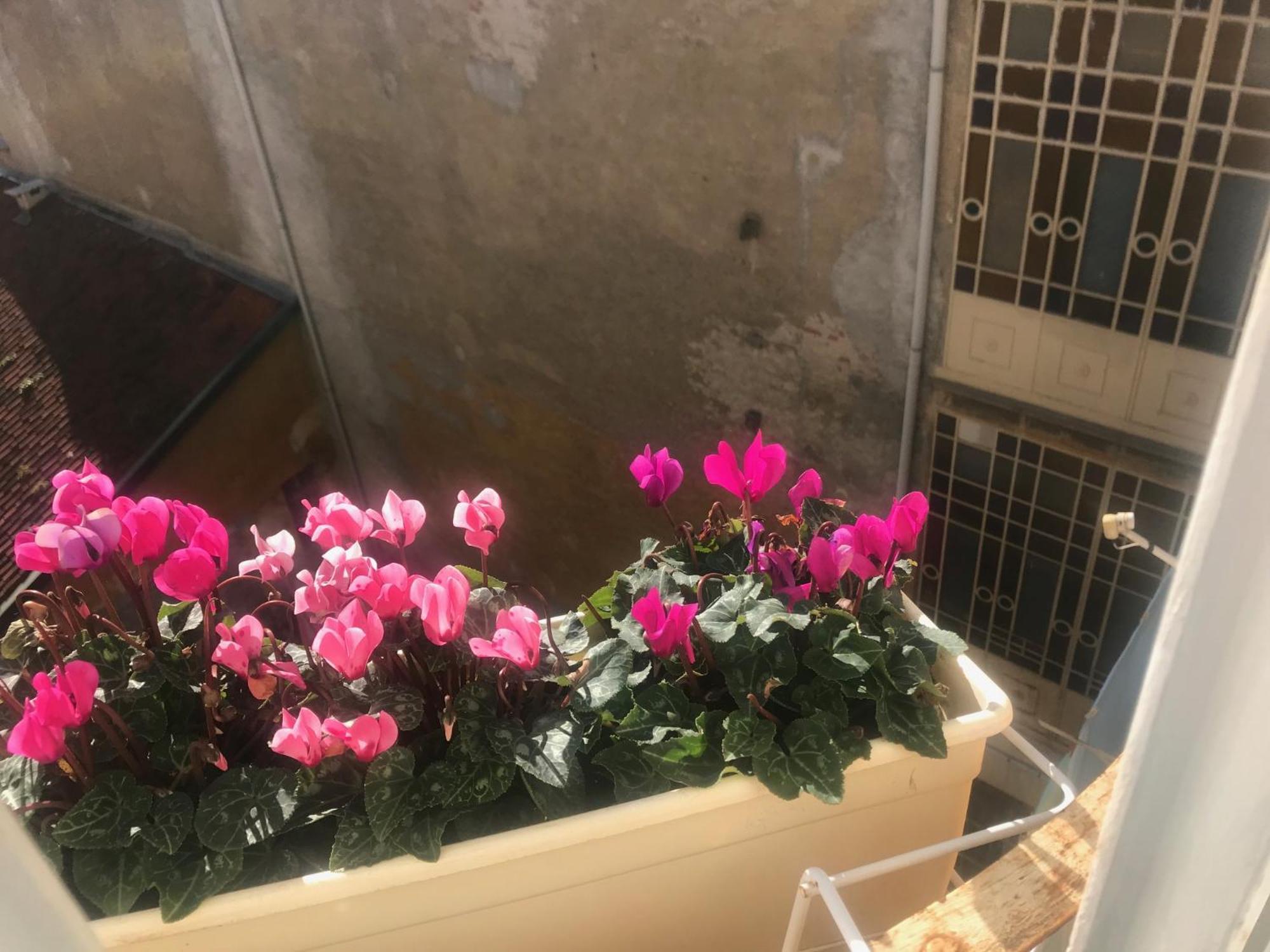 A Due Passi Dal Duomo Hotel Biella Ngoại thất bức ảnh